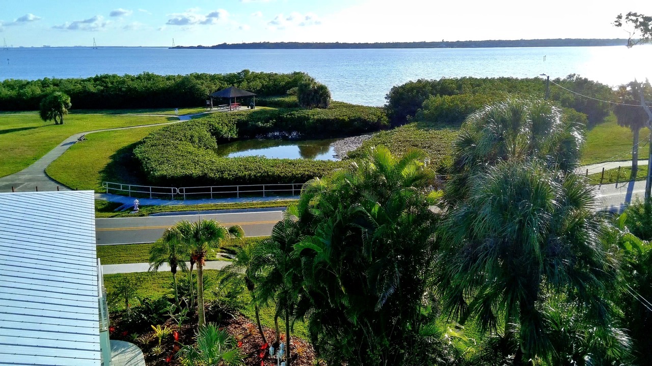 Photo of Others in Oldsmar