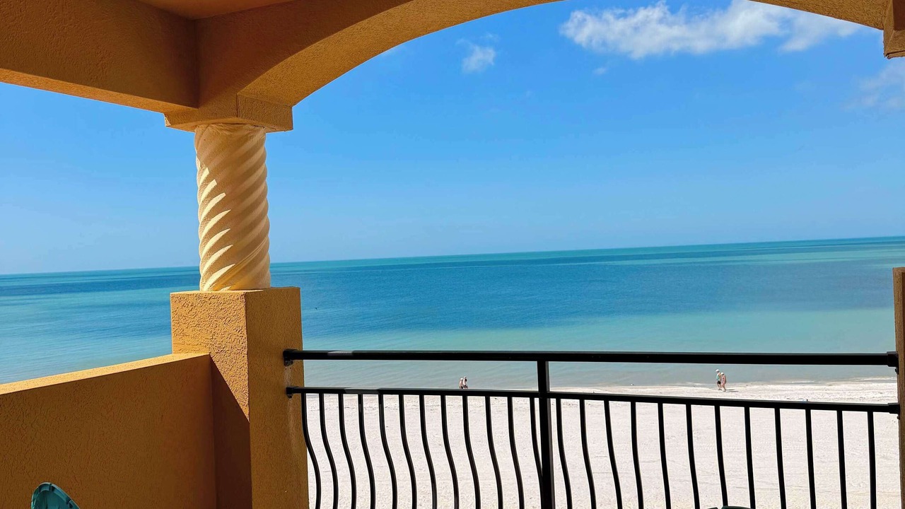 Photo of Outdoor in Indian Shores