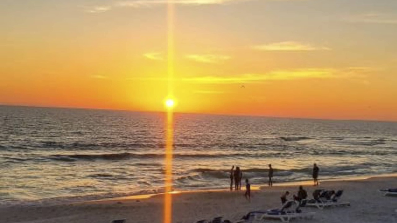 Photo of Others in Thomas Drive
