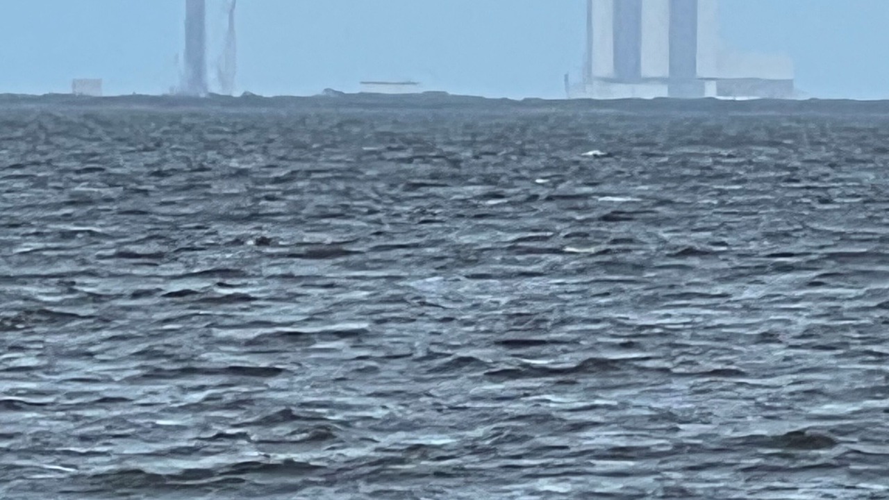 Photo of Others in Titusville