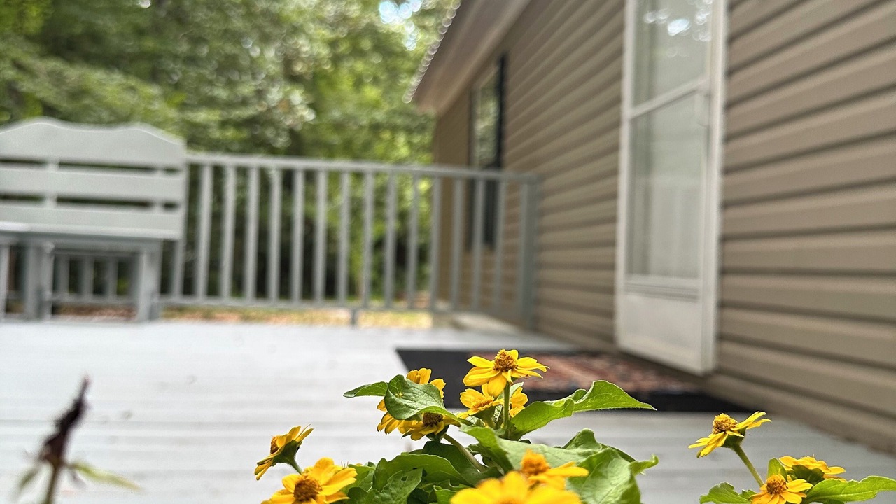 Photo of Outdoor in Fort White