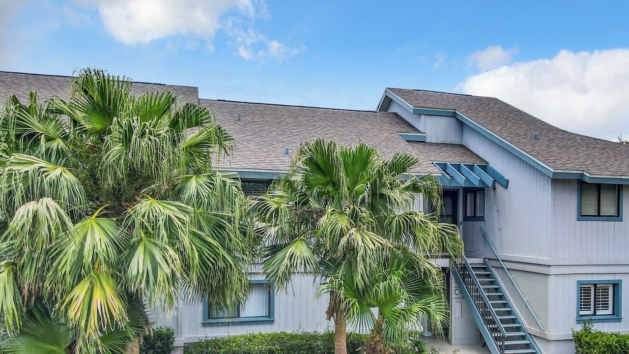 Photo of Outdoor in New Smyrna Beach