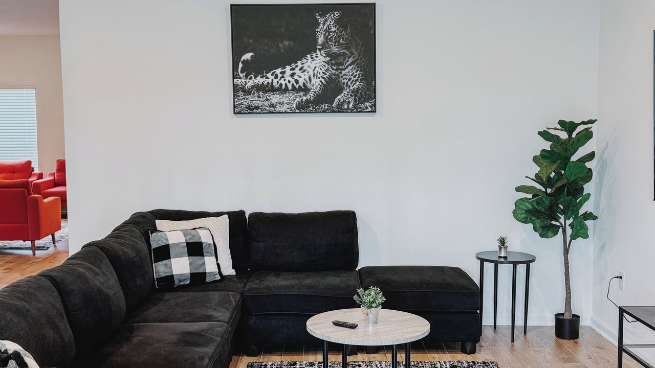Photo of Livingroom in St. Augustine