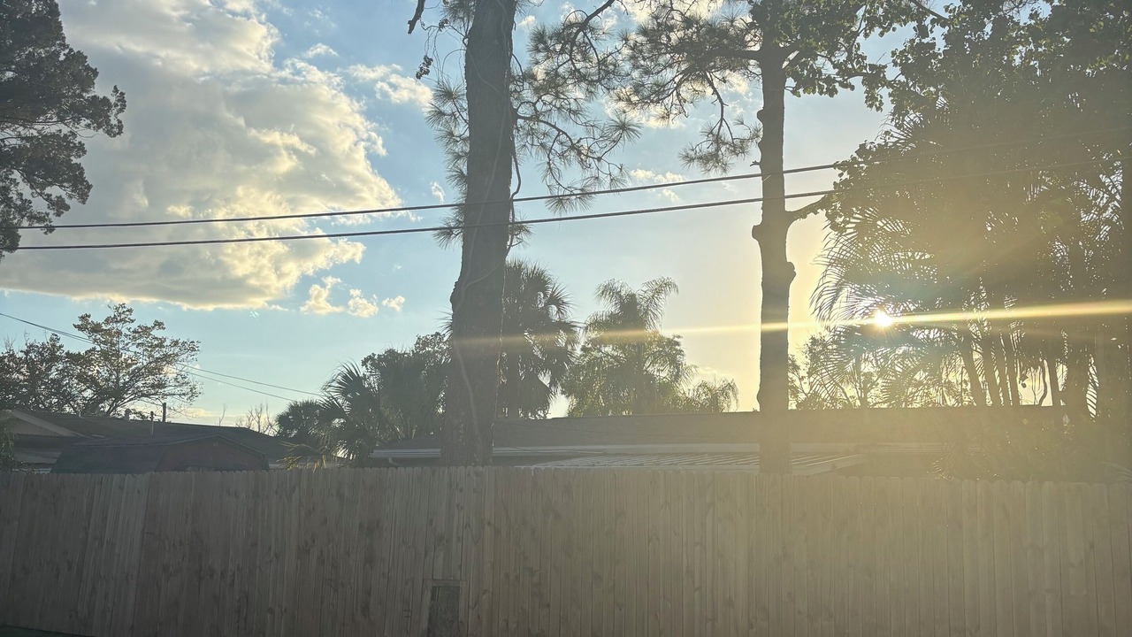 Photo of Others in New Port Richey