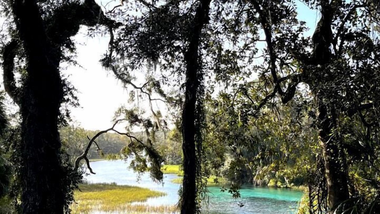 Photo of Others in Dunnellon