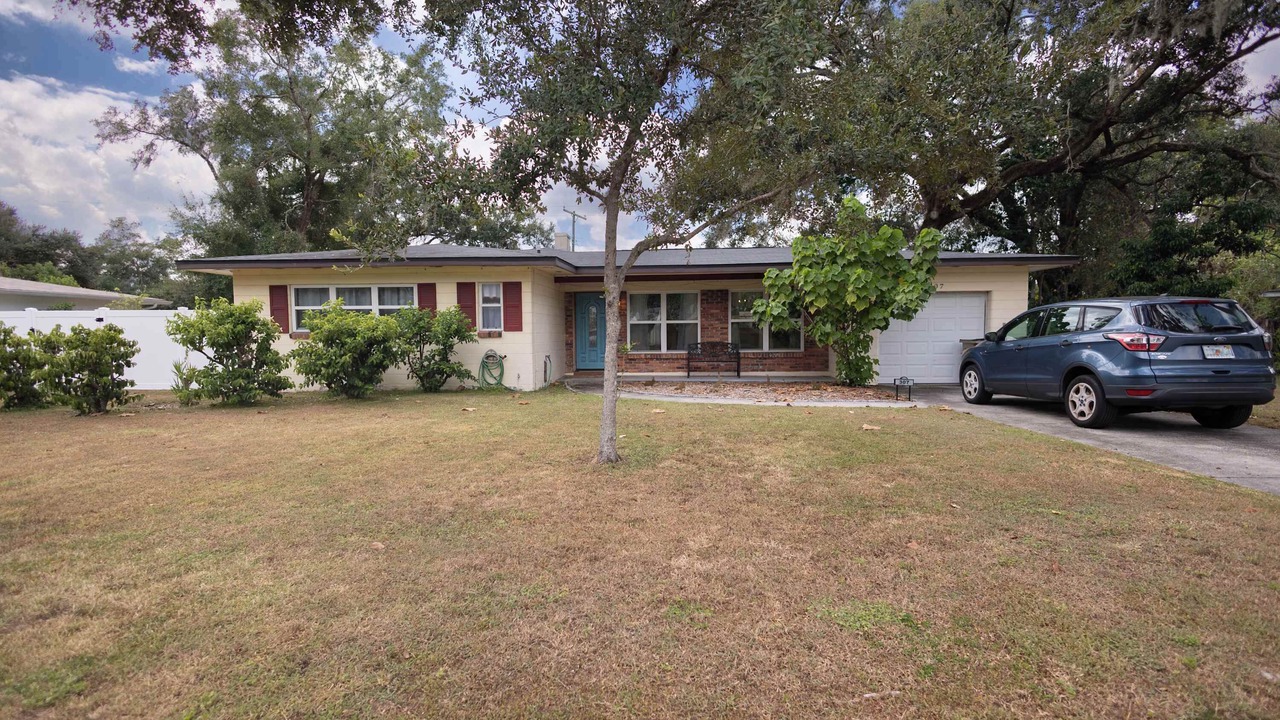 Photo of Outdoor in Temple Terrace