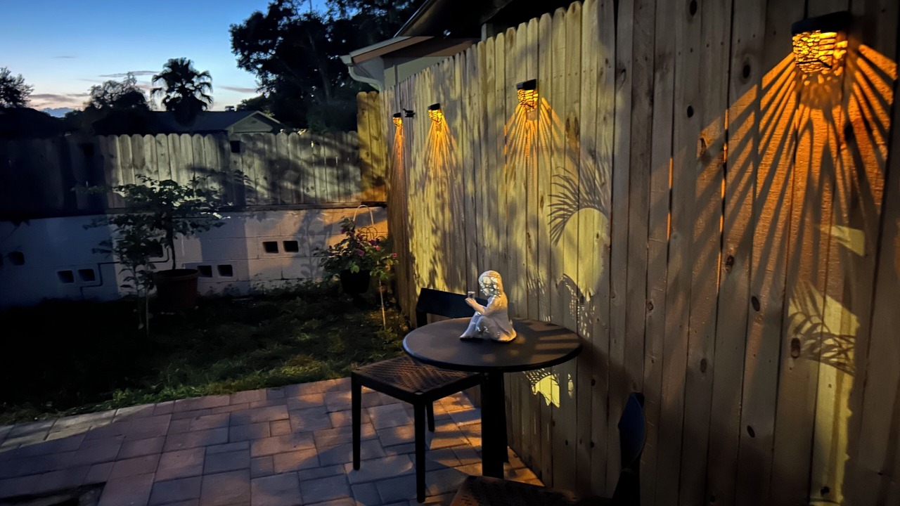 Photo of Outdoor in Lutz