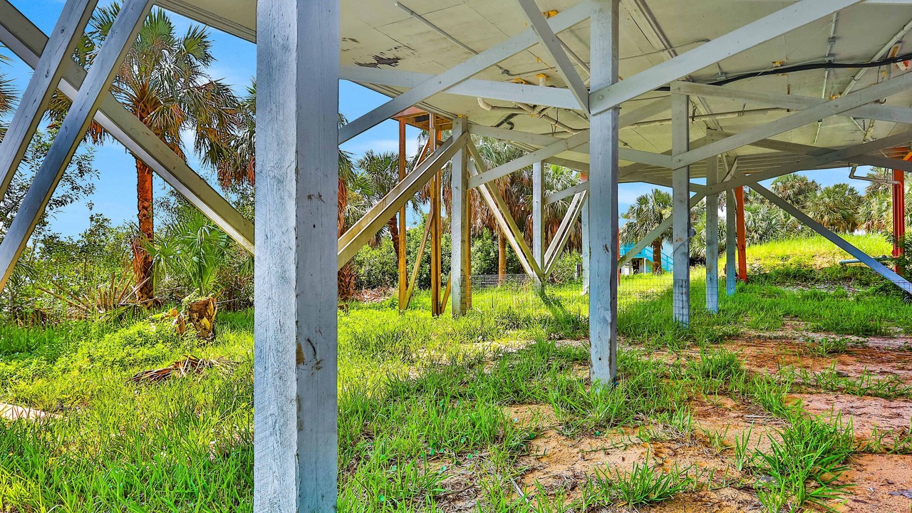 Photo of Outdoor in Pine Island