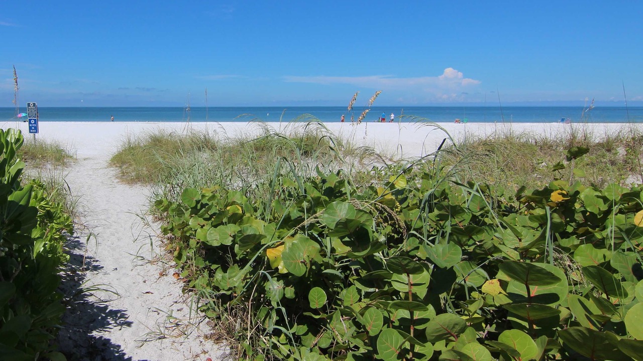 Photo of Others in Belleair Beach
