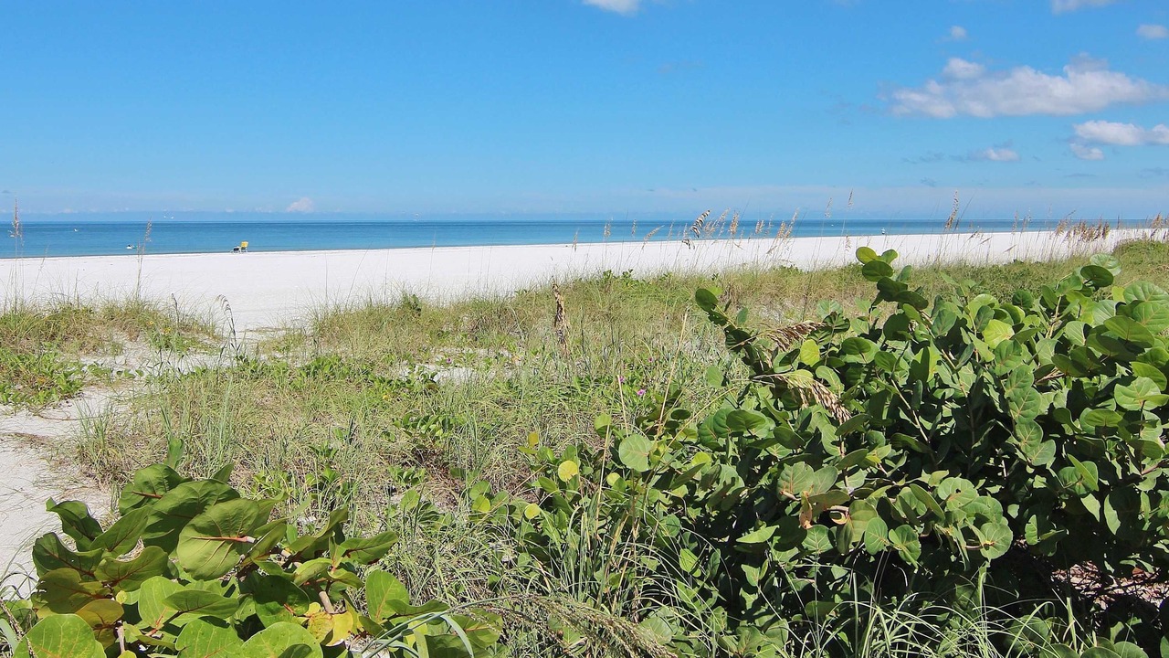 Photo of Others in Belleair Beach