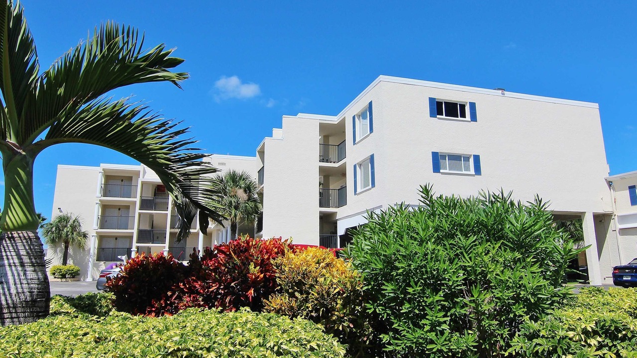 Photo of Outdoor in Belleair Beach
