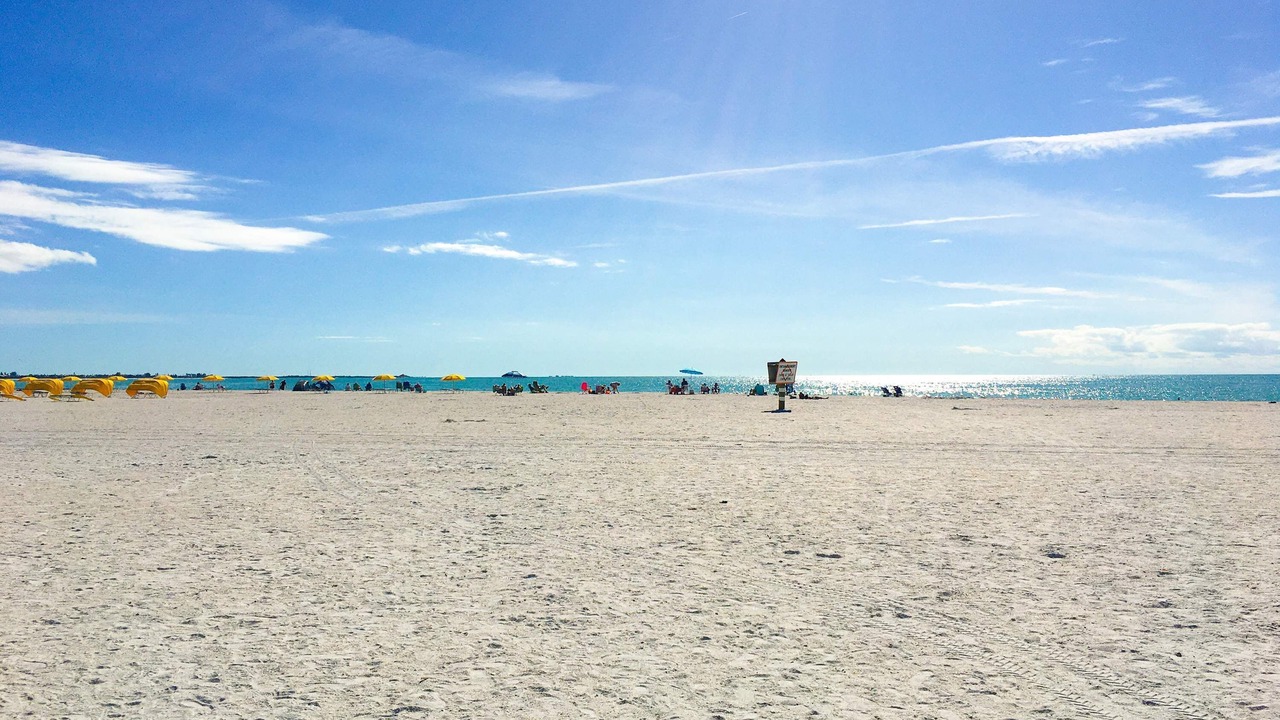 Photo of Others in St. Pete Beach