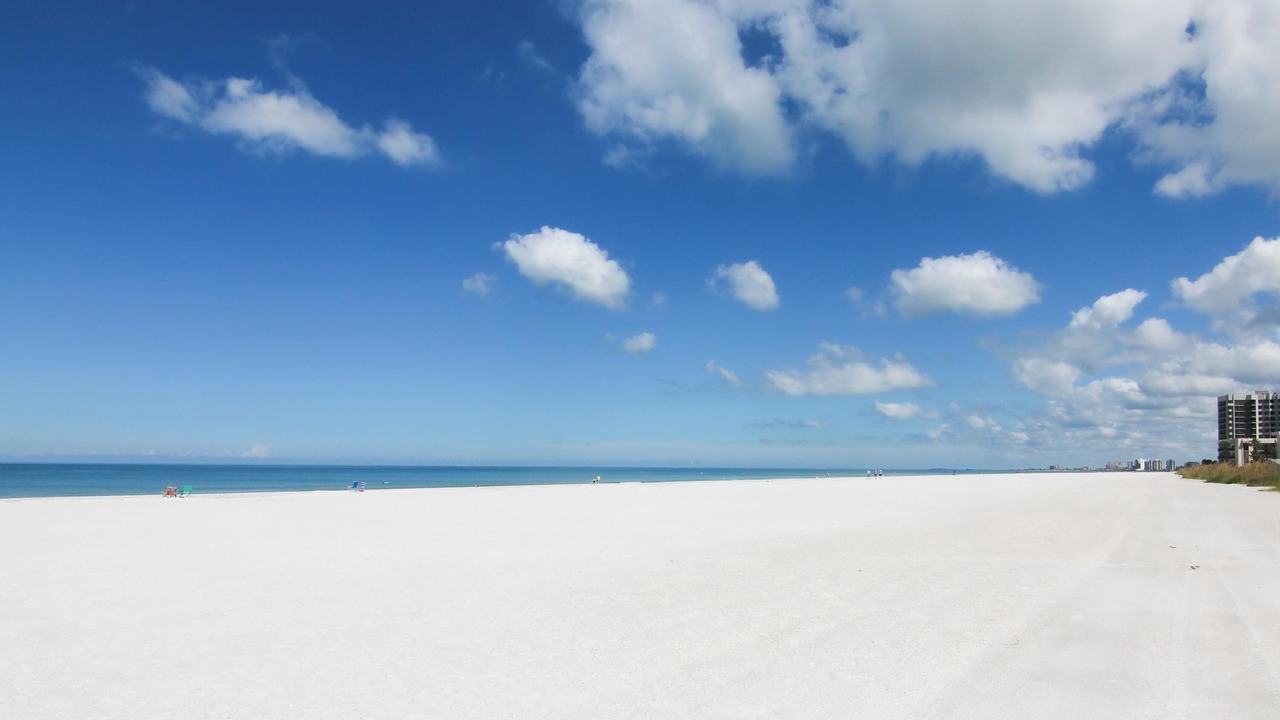 Photo of Others in Belleair Beach