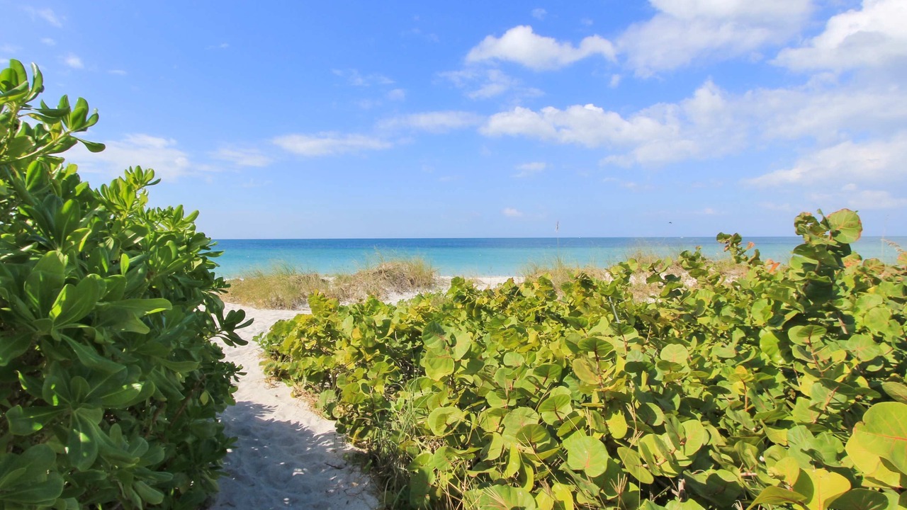 Photo of Others in Belleair Beach