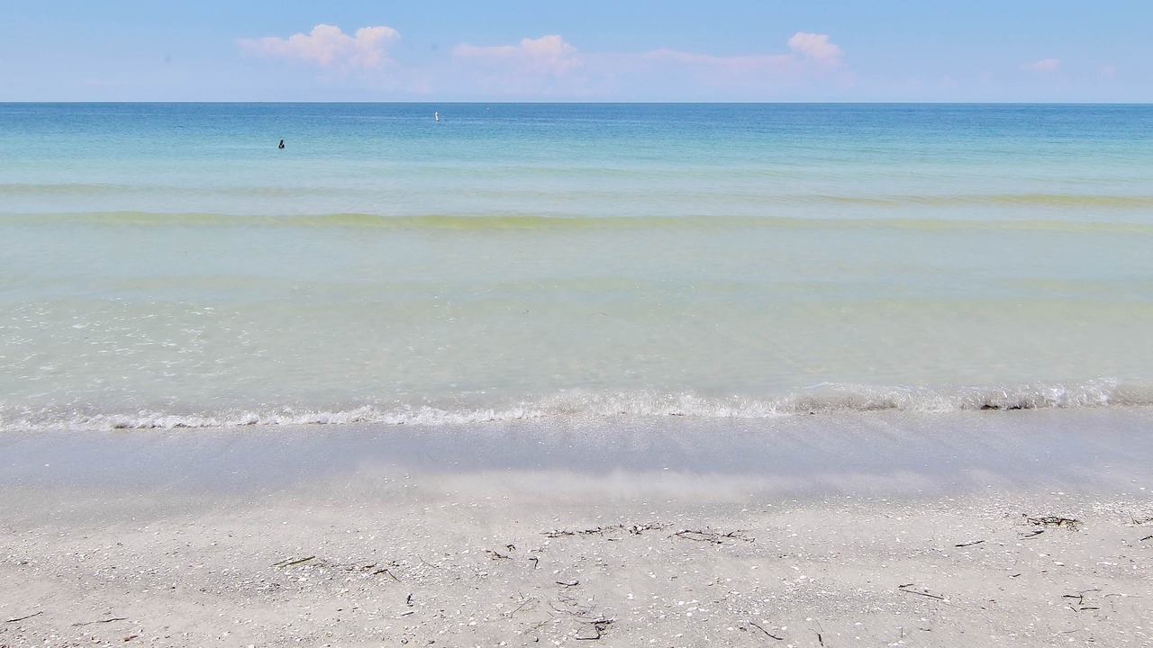 Photo of Others in Belleair Beach