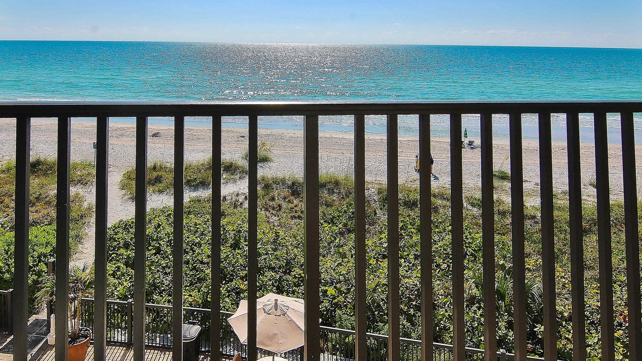 Photo of Outdoor in Belleair Beach