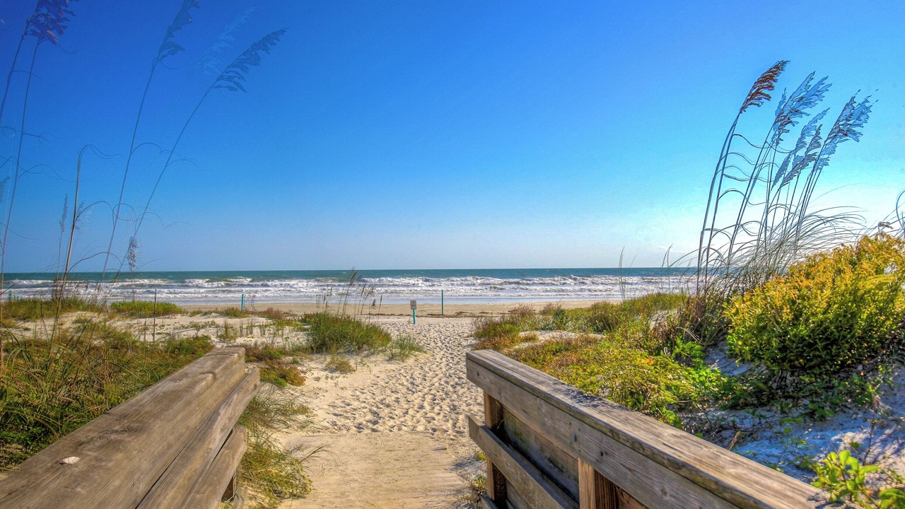Photo of Others in New Smyrna Beach