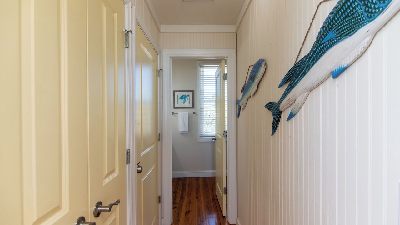 Photo of Others in Edisto Island
