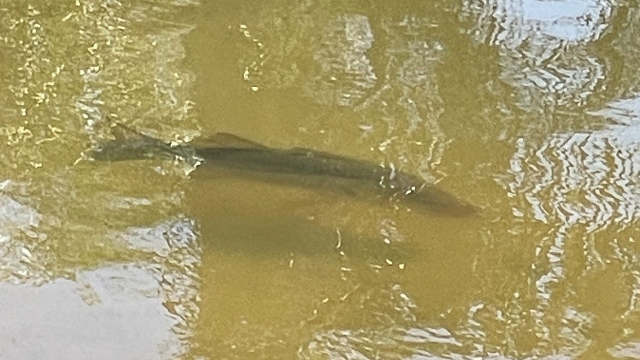 Photo of Others in Butler Beach