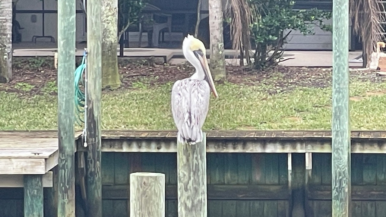 Photo of Others in Butler Beach