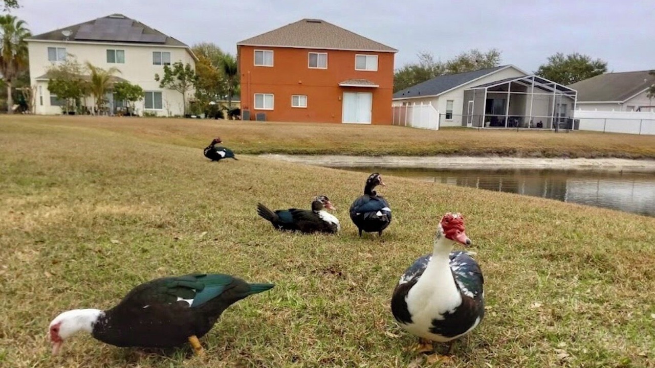 Photo of Outdoor in Riverview