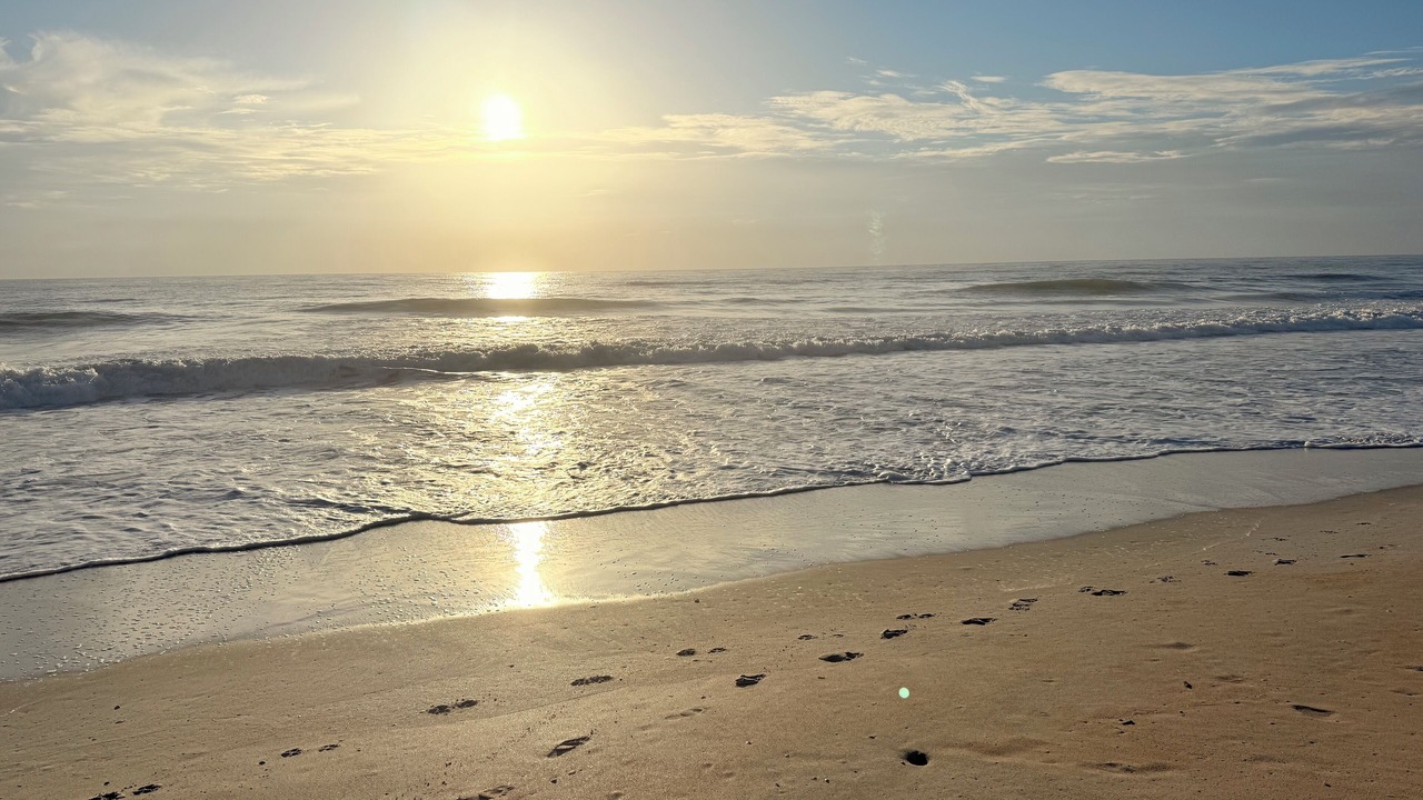 Photo of Others in Flagler Beach
