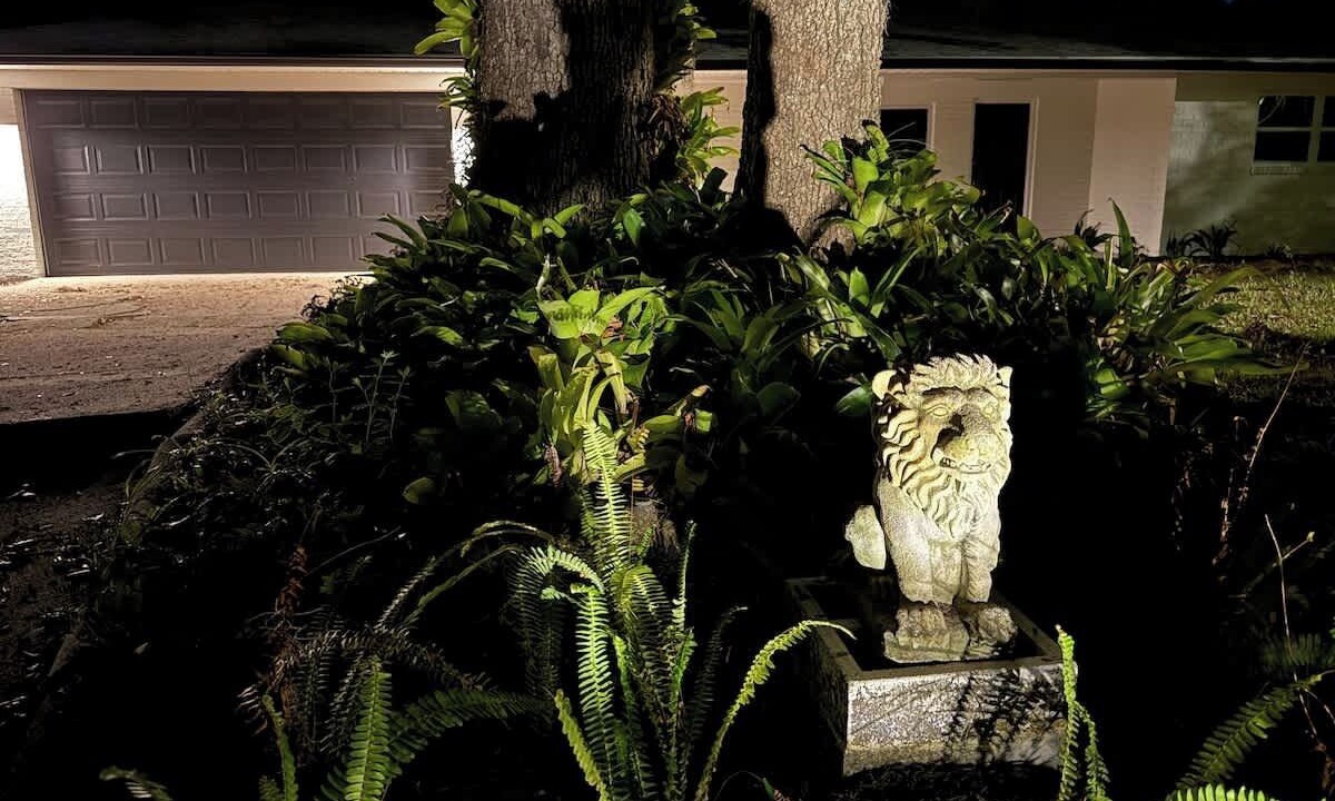 Photo of Outdoor in Gainesville