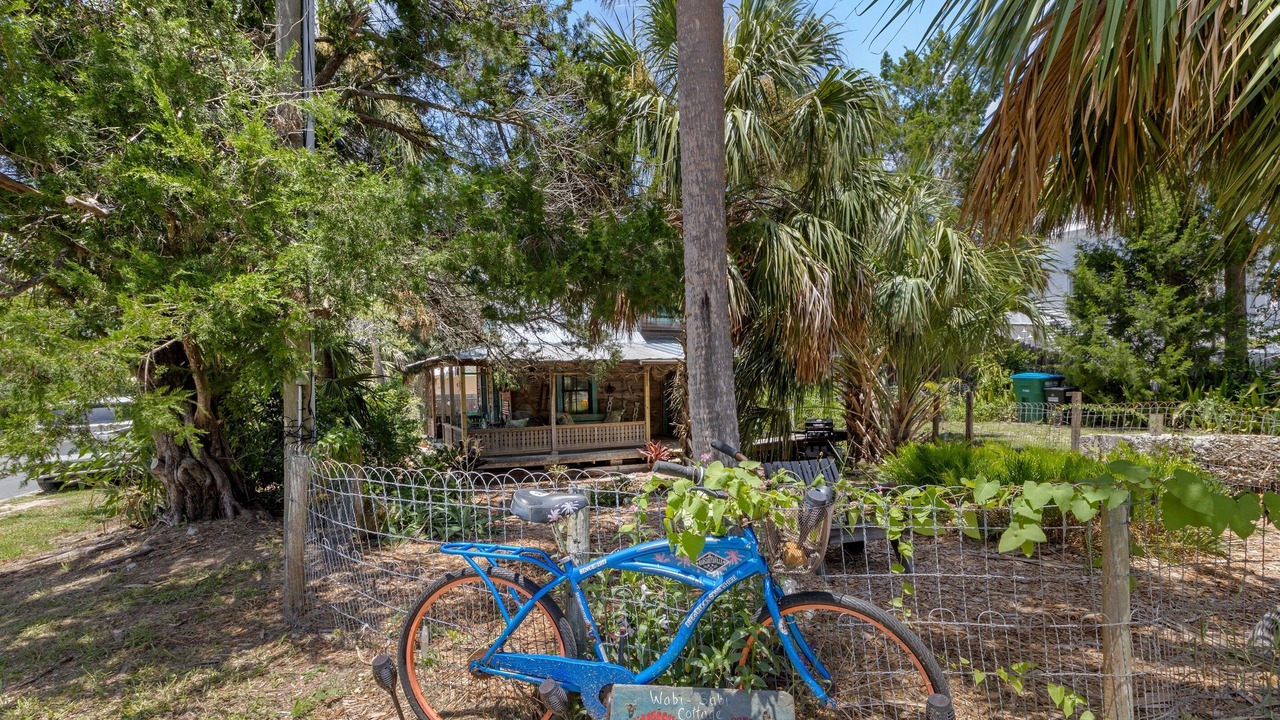 Photo of Outdoor in Cedar Key