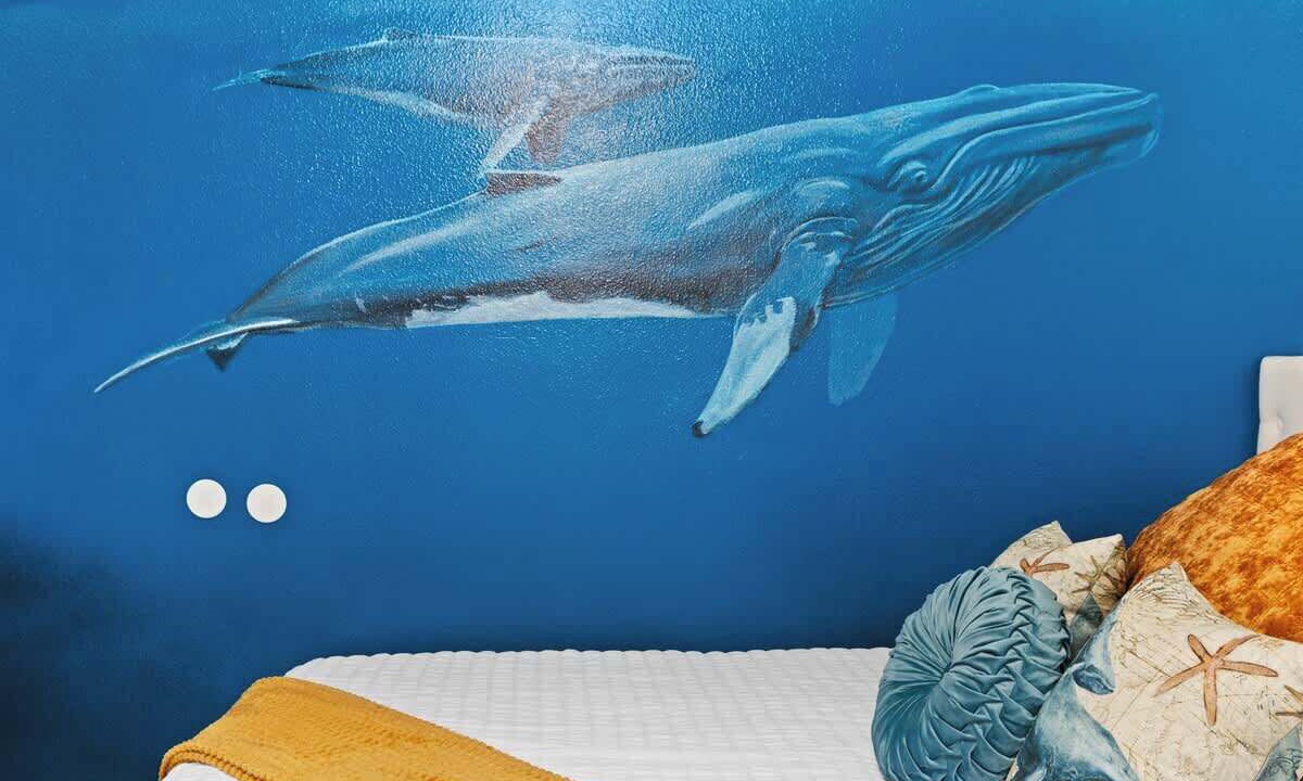 Photo of Bedroom in Duckpond