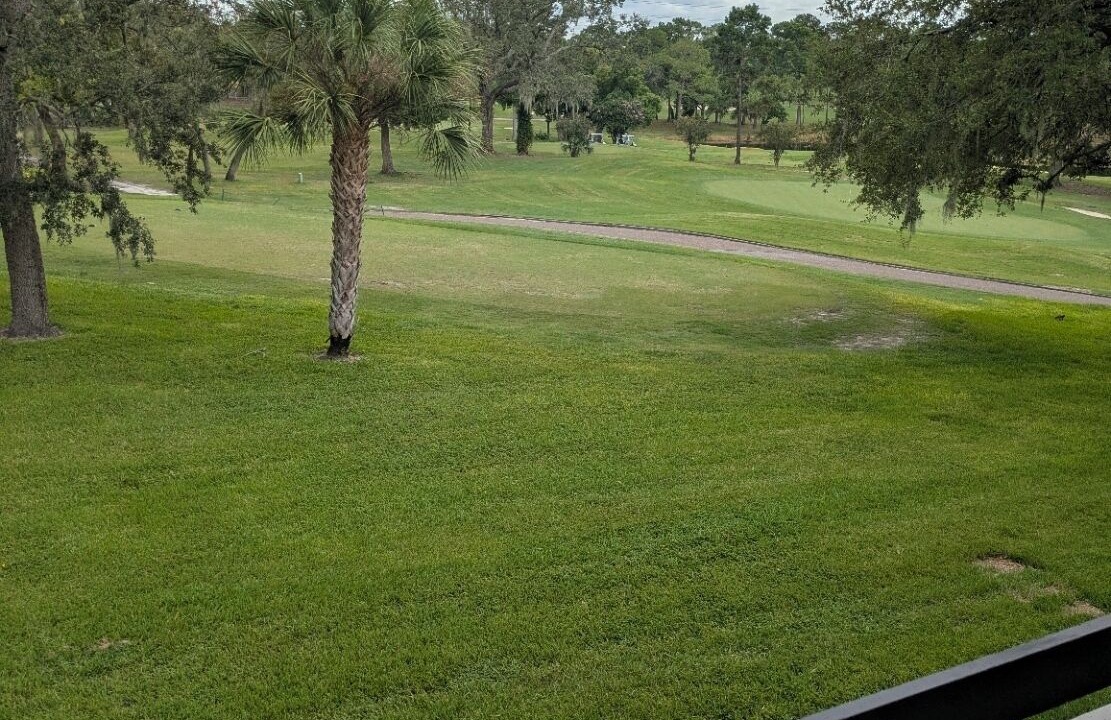 Photo of Outdoor in Palm Harbor