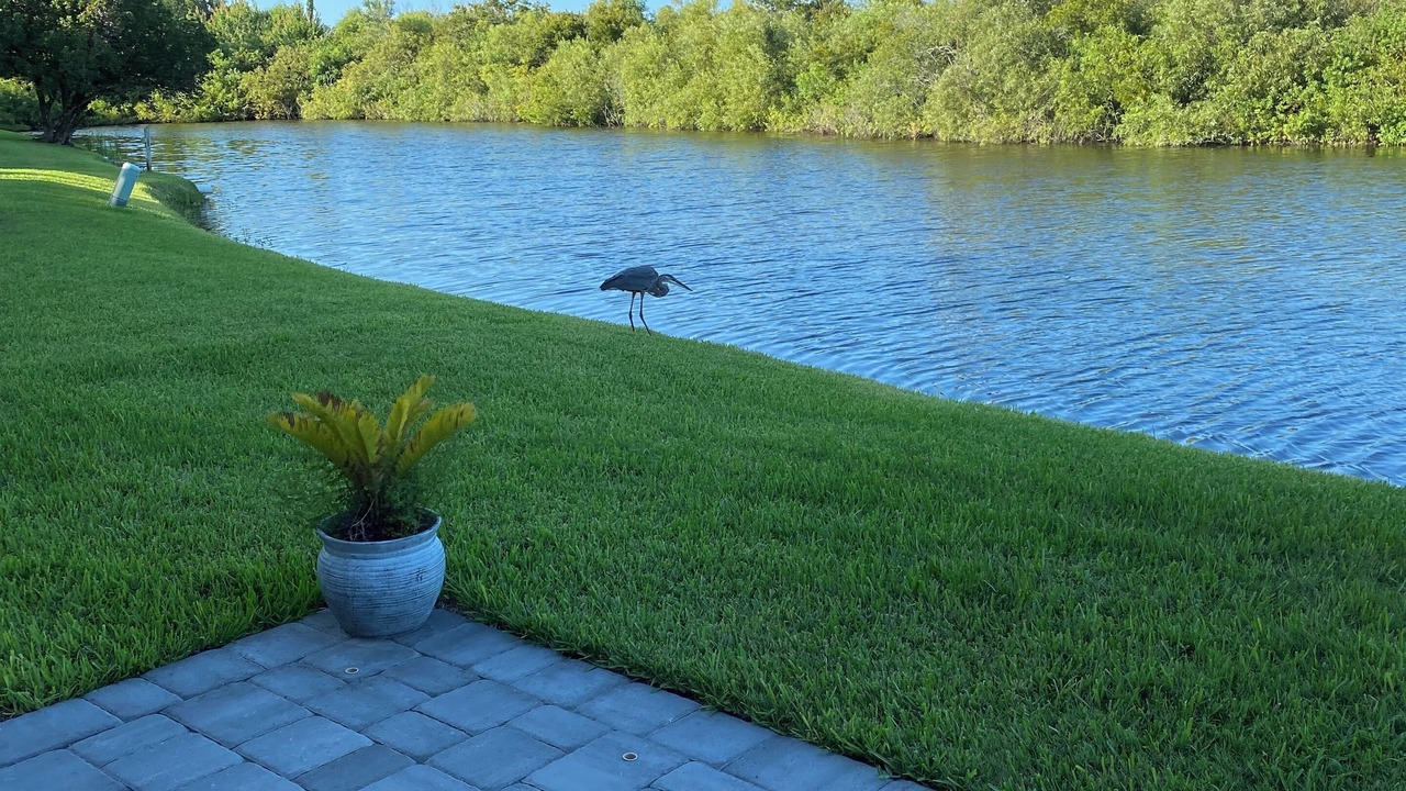 Photo of Outdoor in Sawgrass