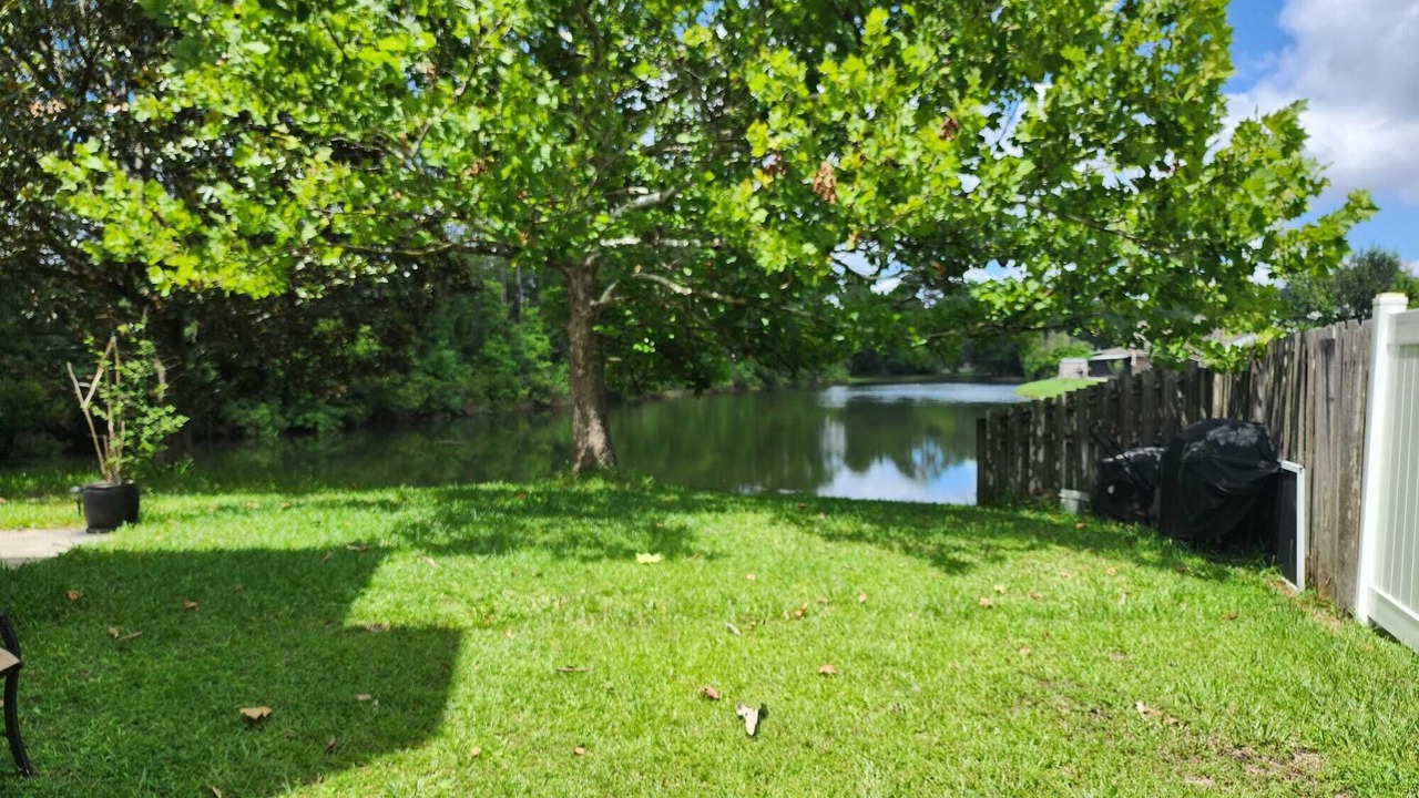 Photo of Outdoor in Southside