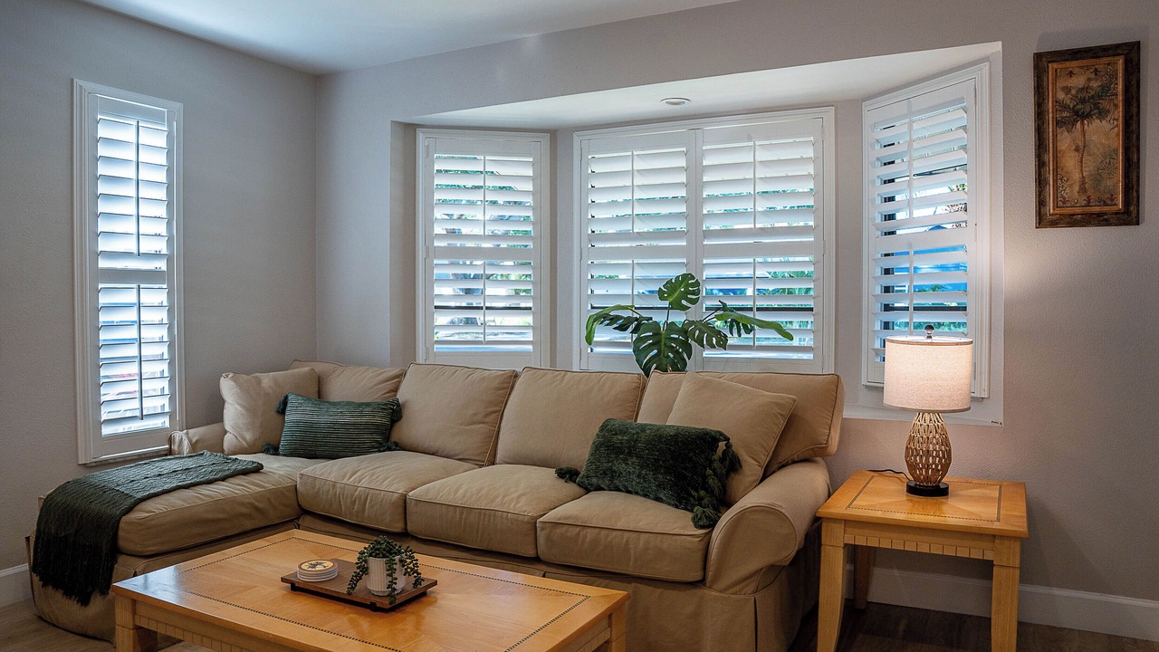 Photo of Livingroom in Palm Harbor