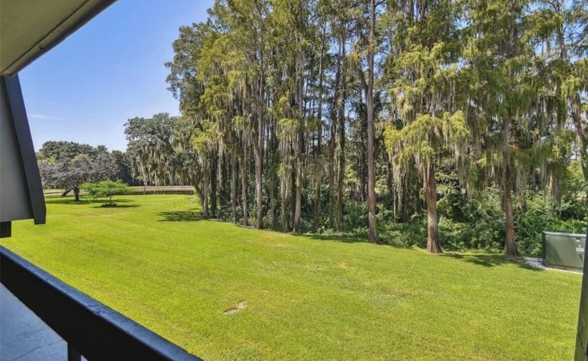 Photo of Outdoor in Palm Harbor