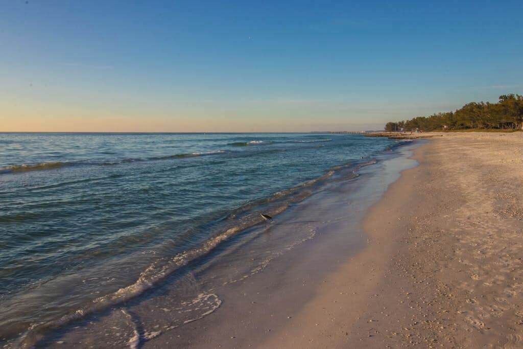 Photo of Others in Bradenton Beach