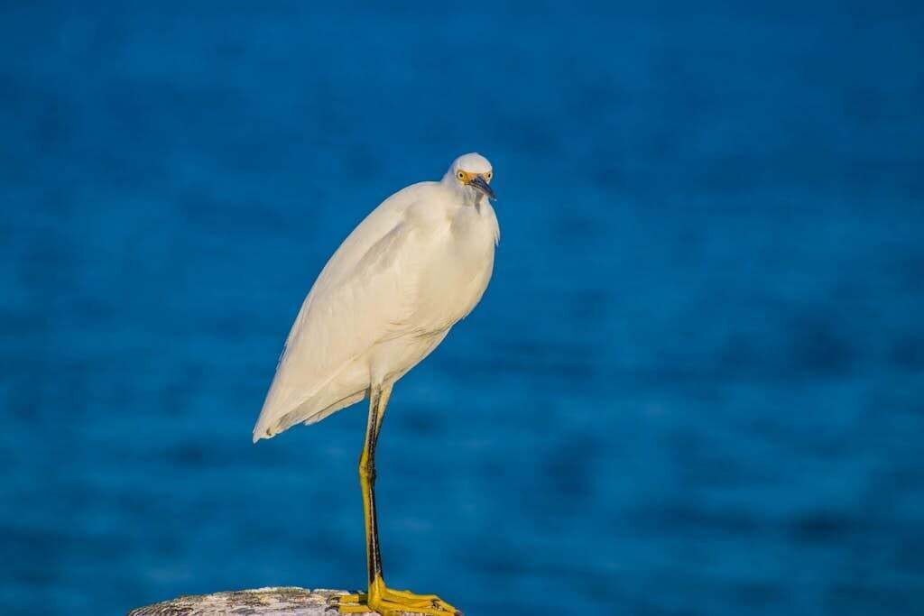 Photo of Others in Bradenton Beach