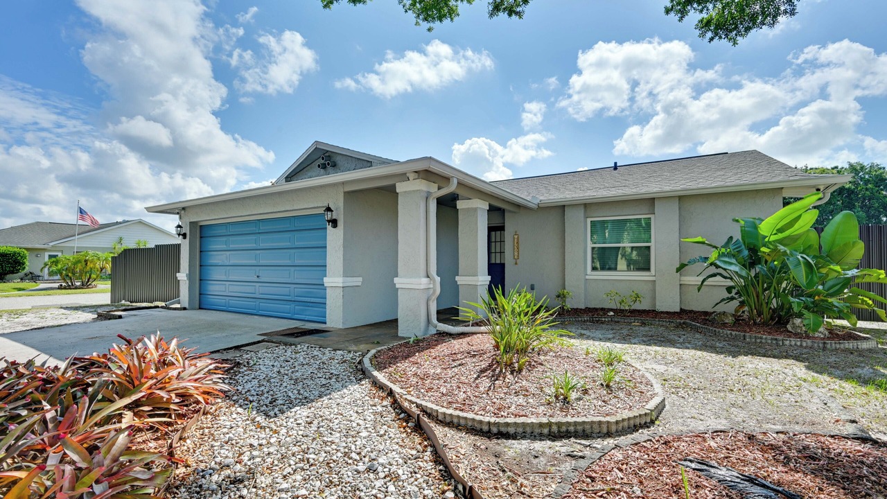 Photo of Outdoor in New Port Richey