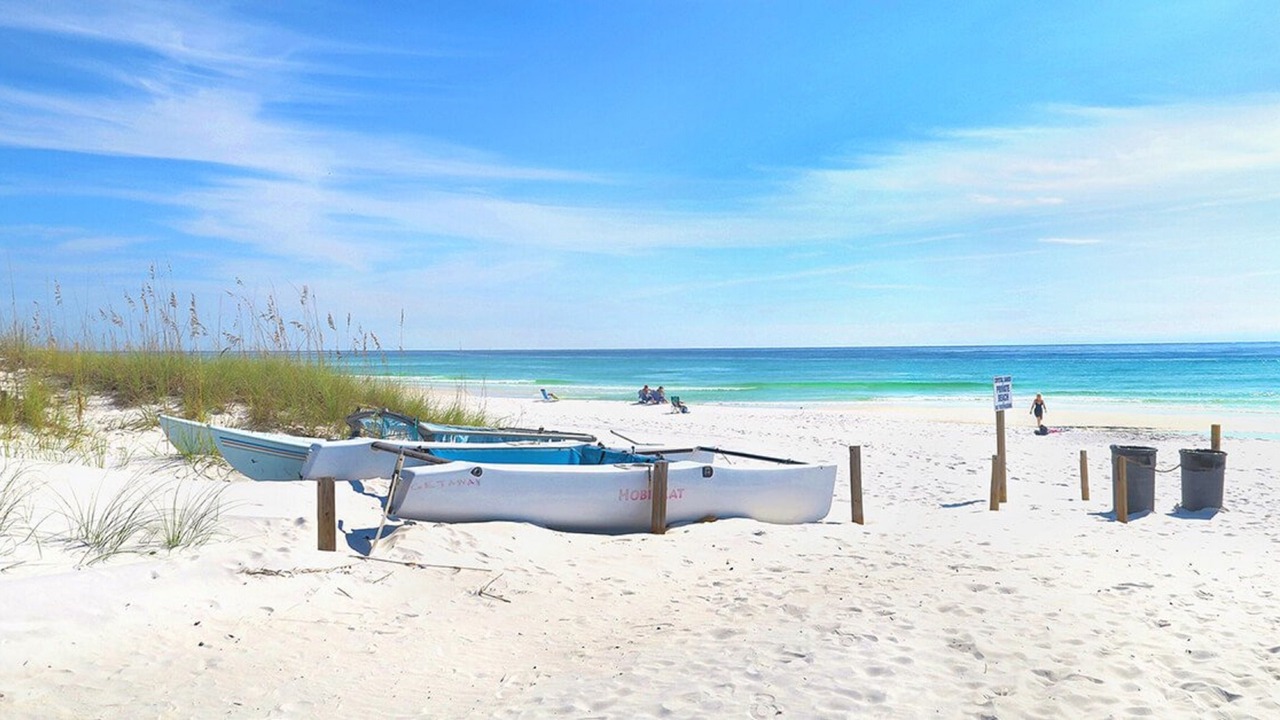 Photo of Others in Crescent Beach