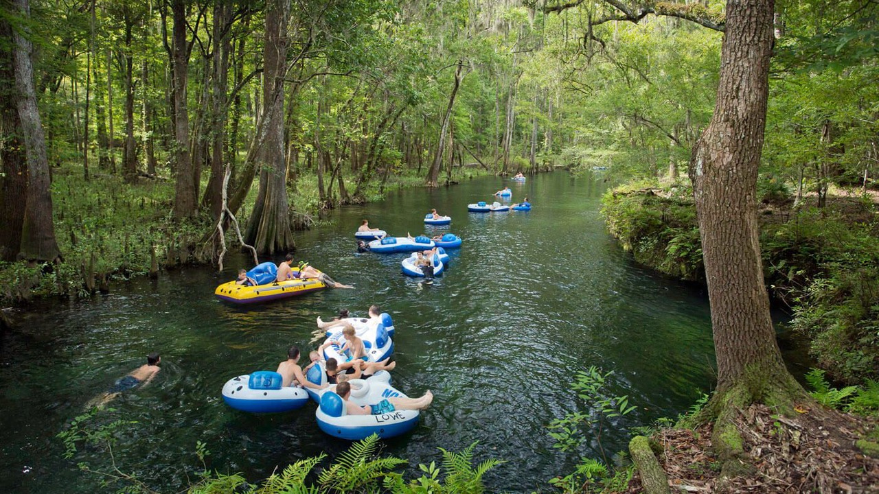 Photo of Others in High Springs