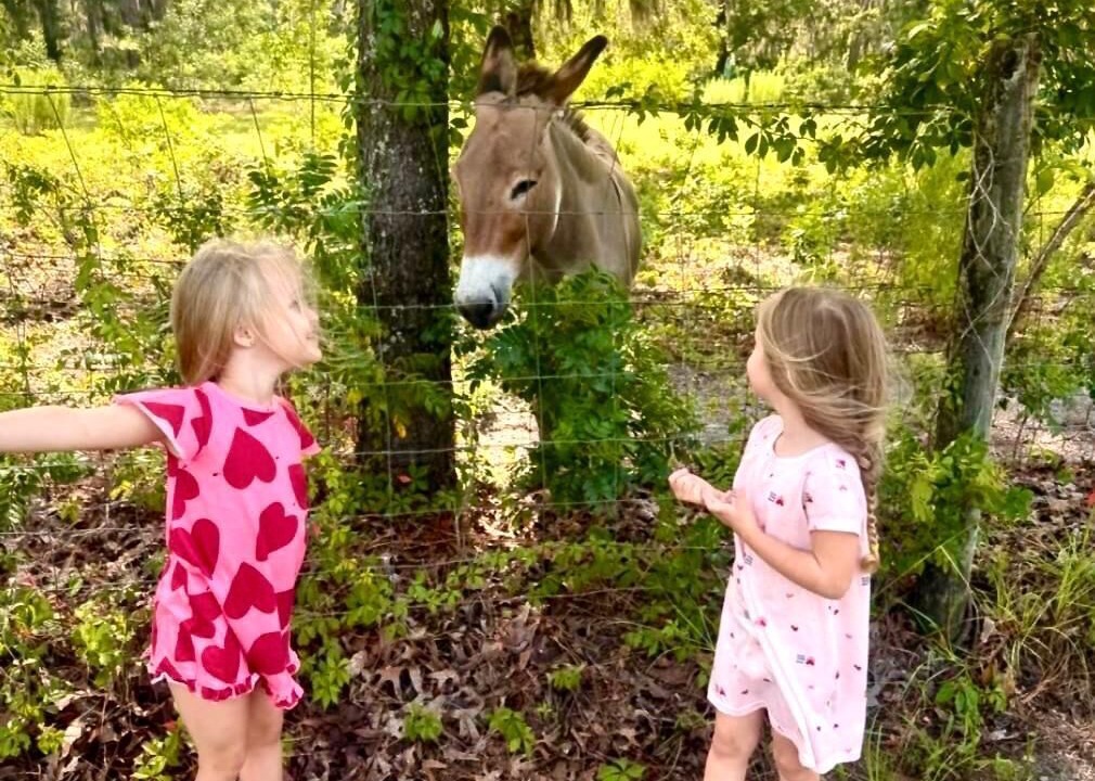Photo of Others in High Springs