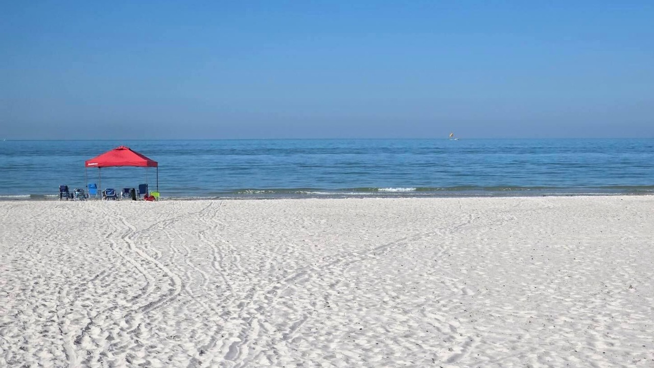 Photo of Others in Madeira Beach