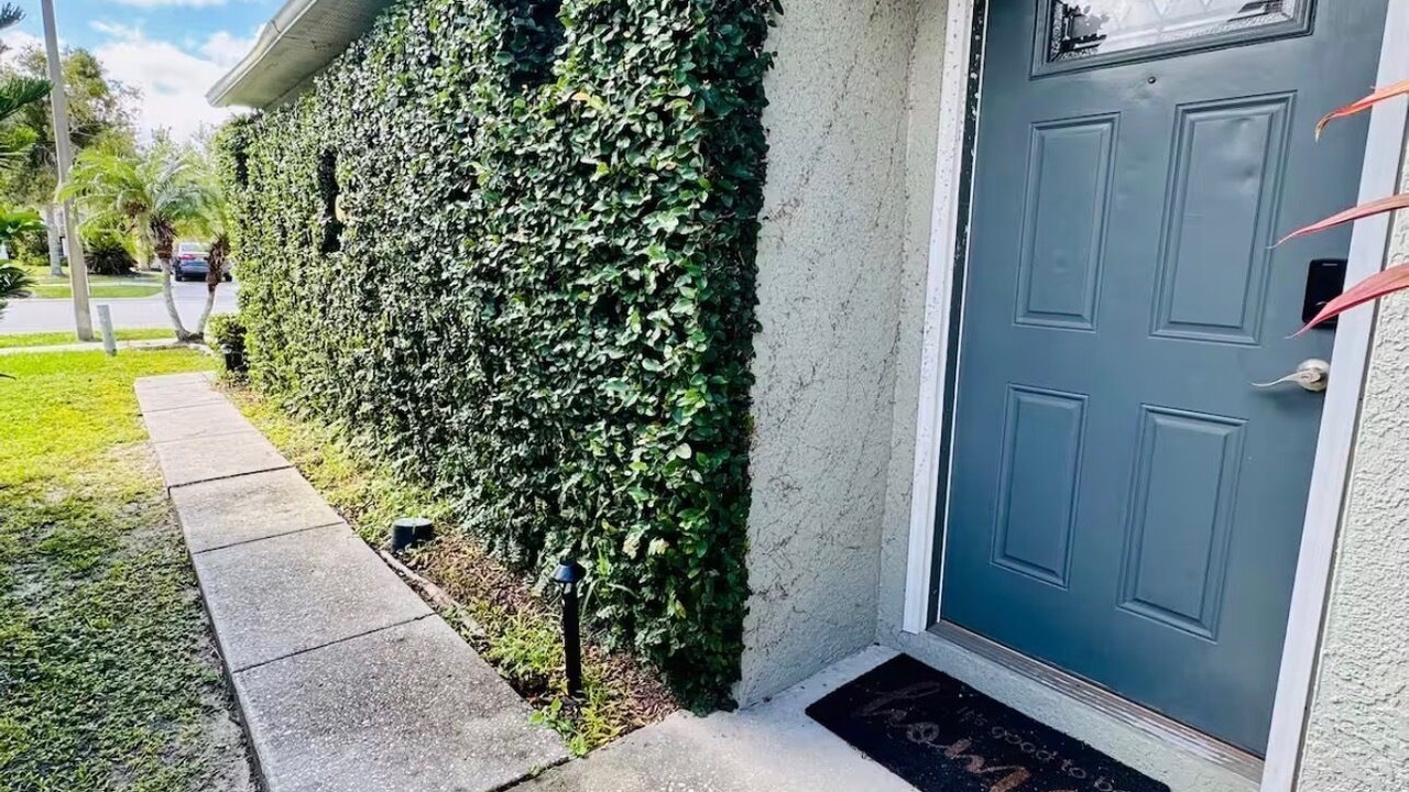 Photo of Outdoor in Wesley Chapel South