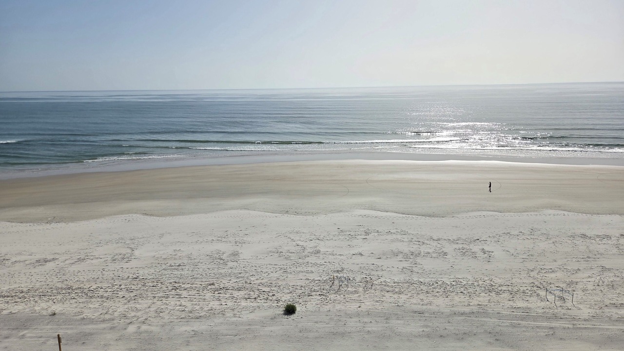 Photo of Others in Ponce Inlet