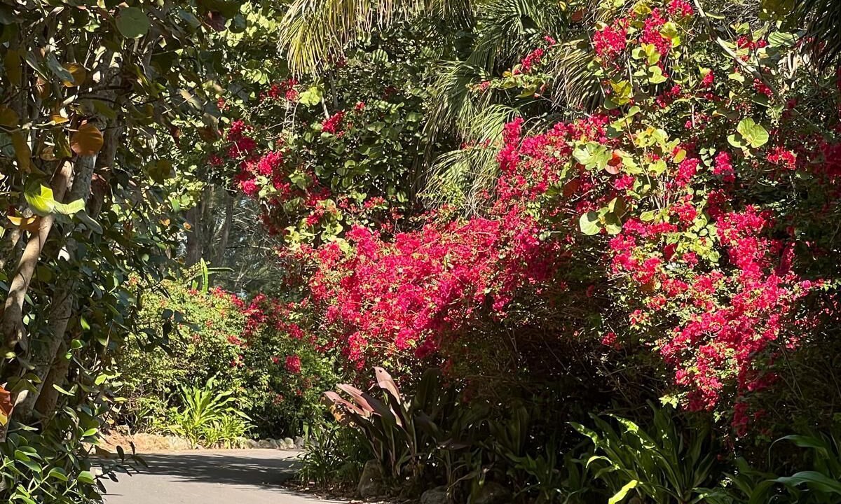 Photo of Outdoor in Vamo