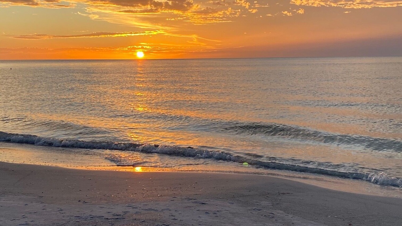 Photo of Others in Sand Key