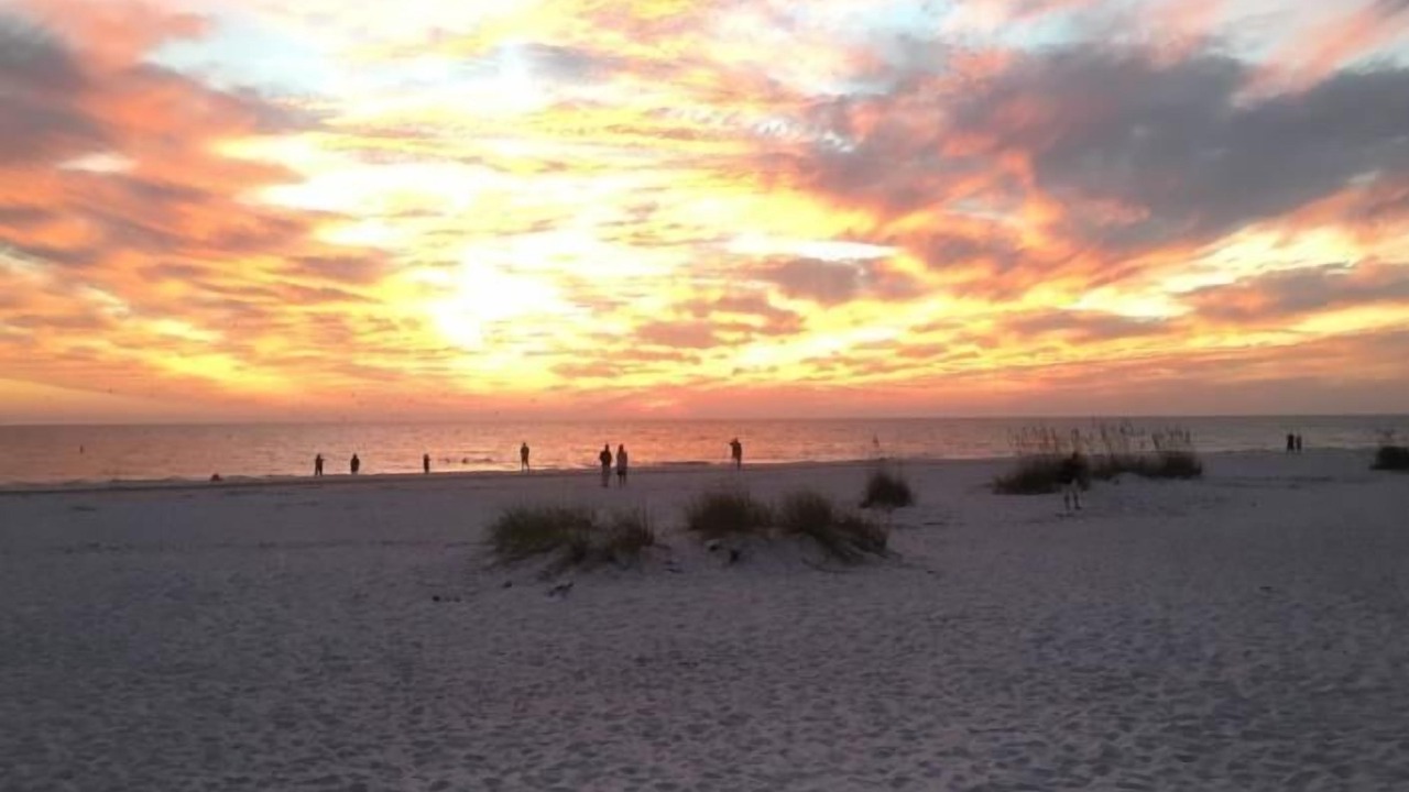 Photo of Others in Bradenton Beach
