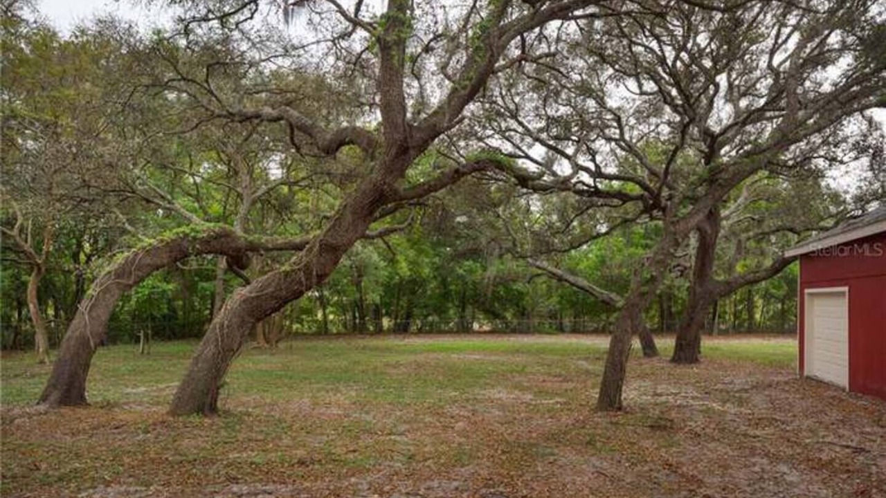 Photo of Outdoor in Port Richey
