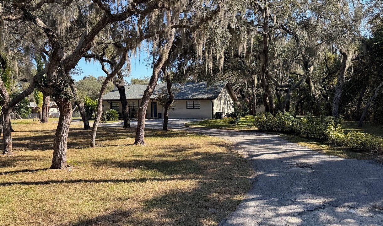 Photo of Outdoor in Port Richey