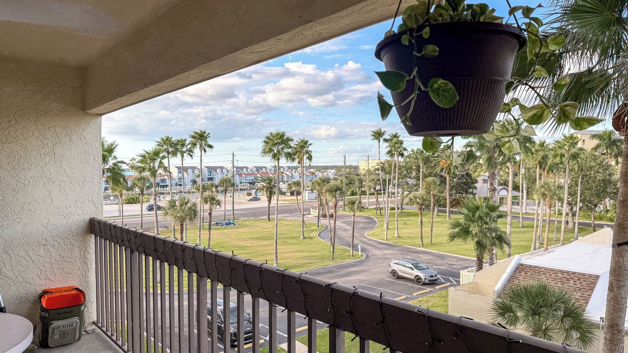 Photo of Outdoor in Madeira Beach