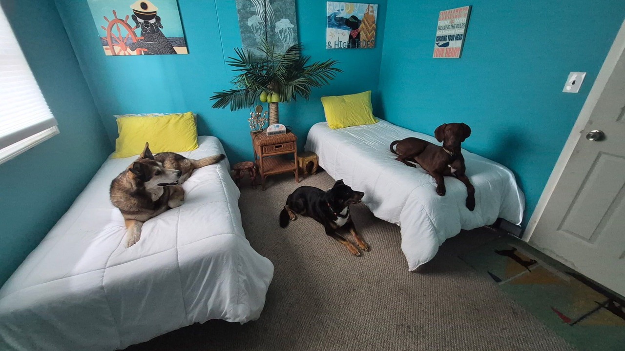 Photo of Bedroom in Mystic Island